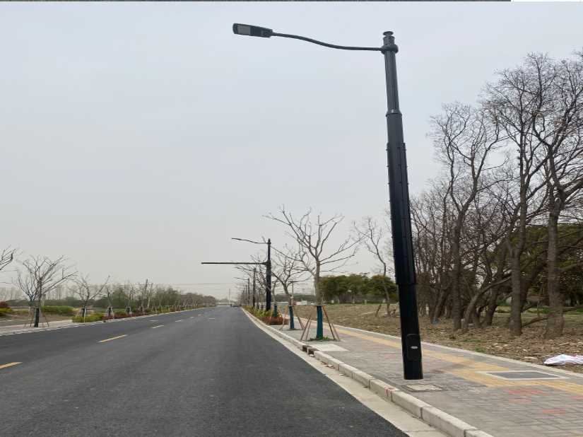 天长市上海综合杆 太阳能路灯工程